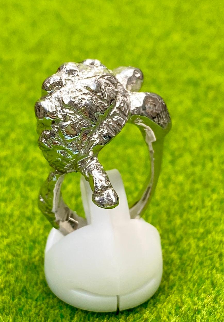 ホシガメリング　 Free Size  ロジウムメッキ仕様 | 2枚目